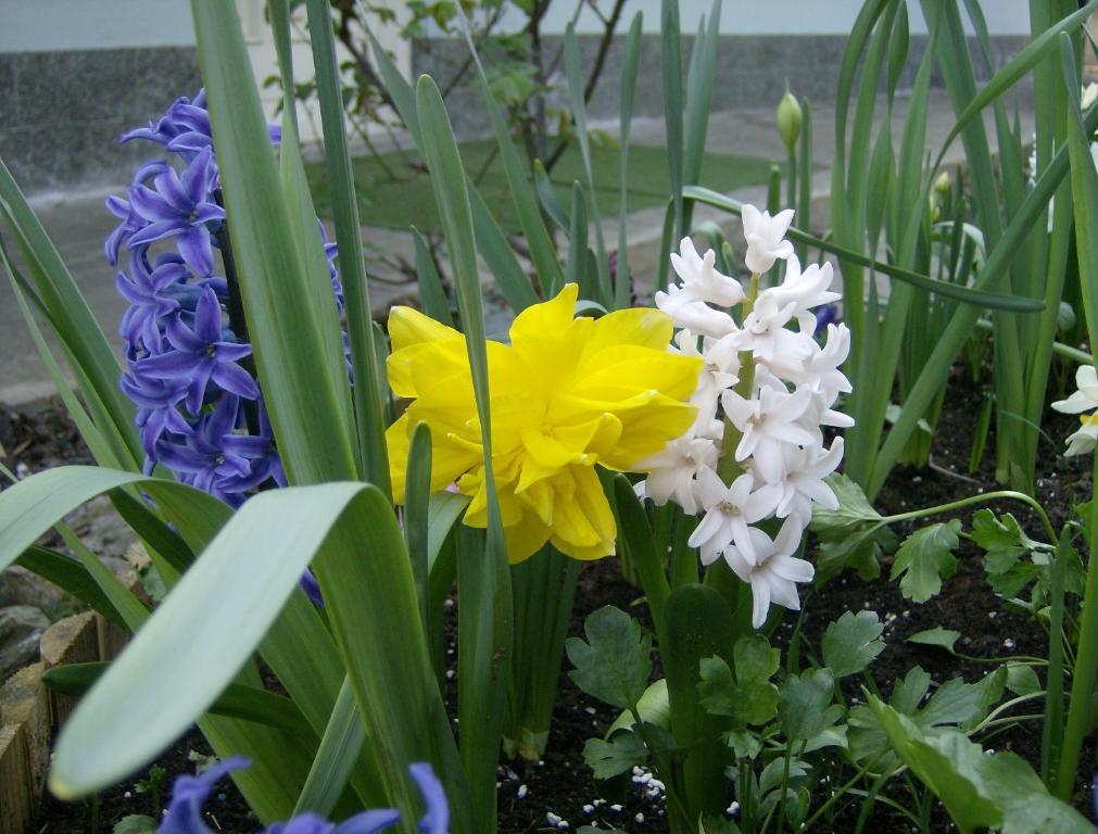Il Giardino Delle Farfalle Valgioie Экстерьер фото